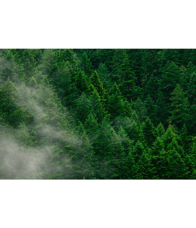 Four Tips for Choosing Sustainable Products During the Holidays